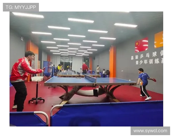 乒乓球运动的技巧与训练方法全面解析助你提升竞技水平