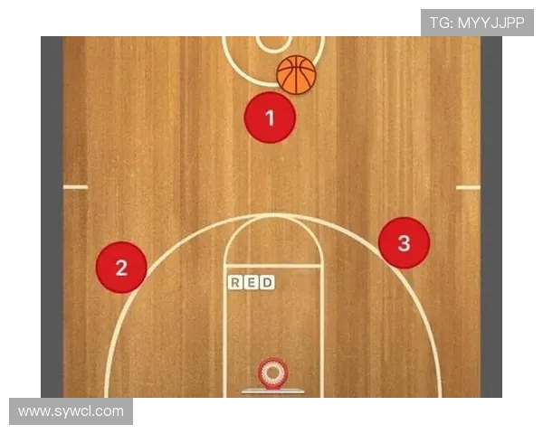 成都排球队整体压制战术解析与实战应用探讨